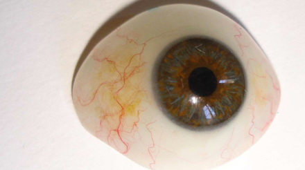 re-gard-oeil-1024x723